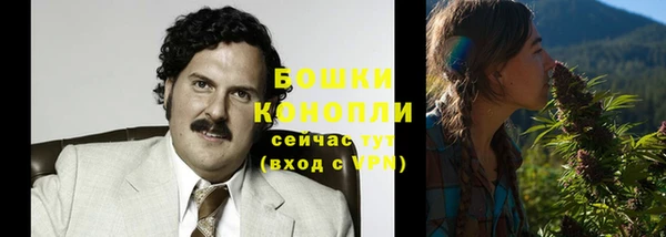 бошки Гусиноозёрск