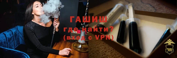 гашик Гусь-Хрустальный
