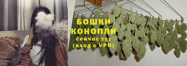 бошки Гусиноозёрск