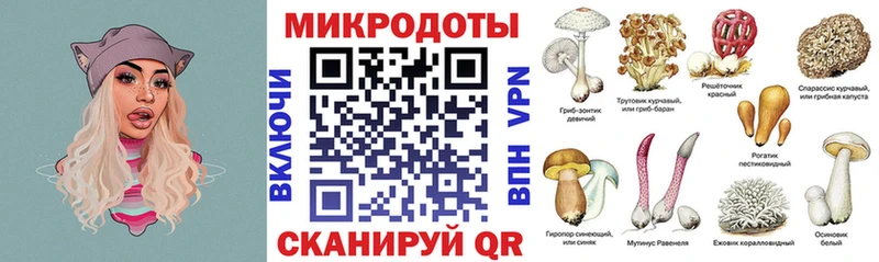 Псилоцибиновые грибы прущие грибы  купить наркоту  Приморск 